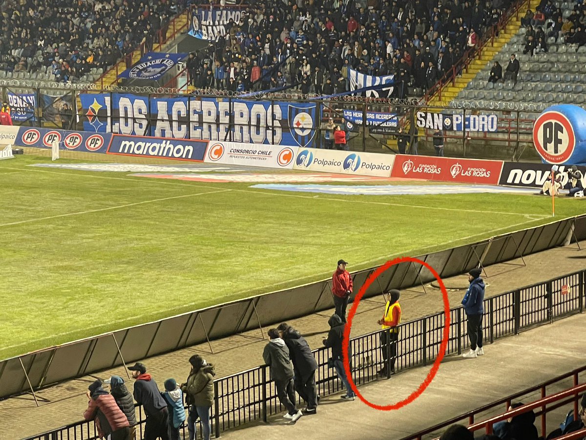 Esteban MR tweet media