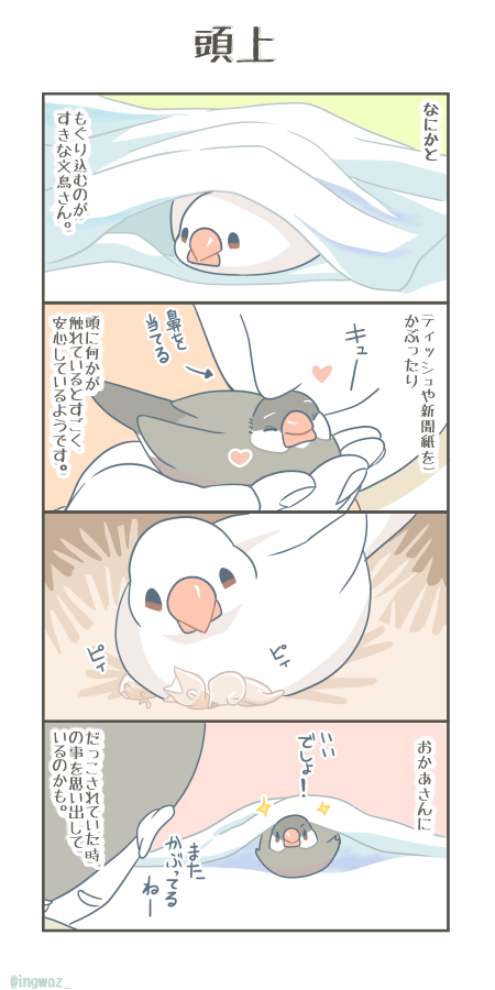 何故か頭が何かに触れていると安心しがちな文鳥さん。ちいさな頃の記憶があるのかもしれません。 #Buncho #文鳥 #漫画が読めるハッシュタグ