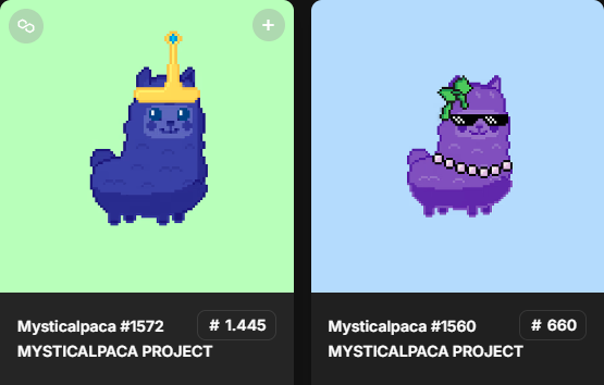 MysticalpacaPRJ's tweet photo. 𝕄𝕪𝕤𝕥𝕚𝕔𝕒𝕝𝕡𝕒𝕔𝕒 𝔾𝕚𝕧𝕖𝕒𝕨𝕒𝕪 #𝟜

✨3 Winners ✨

1st 🦙 Mysticalpaca #1572
2nd 🦙 Msticalpaca #1560
3rd 💎 15 $PIXEL

✨Rules✨

Like ❤️
Share/Retweet 🔄️
Tag 3 FRIENDS 🦙🦙🦙

Duration 96hr https://t.co/7ruAuSUEAu