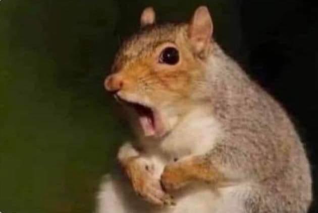 *Mi mamá me cuenta que mi primo fuma marihuana*

yo que fumaba con el: