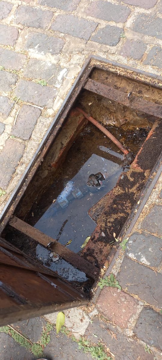 stefano madies tweet media