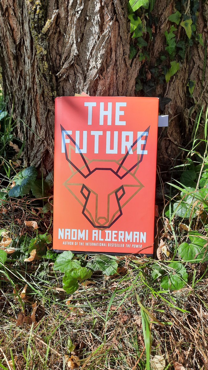 Clare O'Dea tweet media