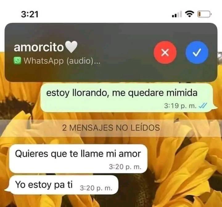 Metas 🫀❤️‍🩹