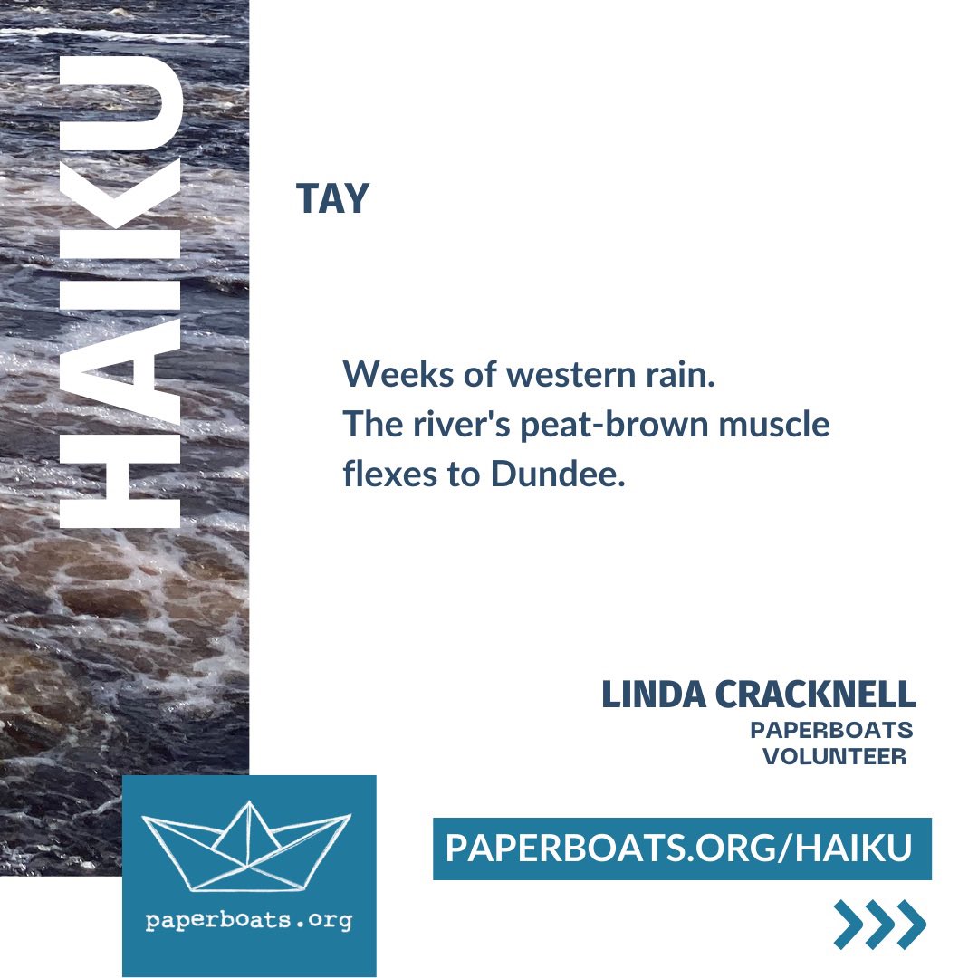 paperboatswrite's tweet photo. Today’s haiku comes from @LindaJCracknell 

Traditionally, haiku centre around observations in nature and often reference the seasons. They are perfect for reflecting our changing climate.

Linda is a writer of fiction, non-fiction &amp; radio drama about landscape, place &amp; memory. https://t.co/j4lyubyQNn