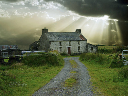 realfoxd's tweet photo. Ancient Cottage, Ireland #AncientCottage #Ireland https://t.co/oUF6p72gm4 https://t.co/h4cZaeYFUy
