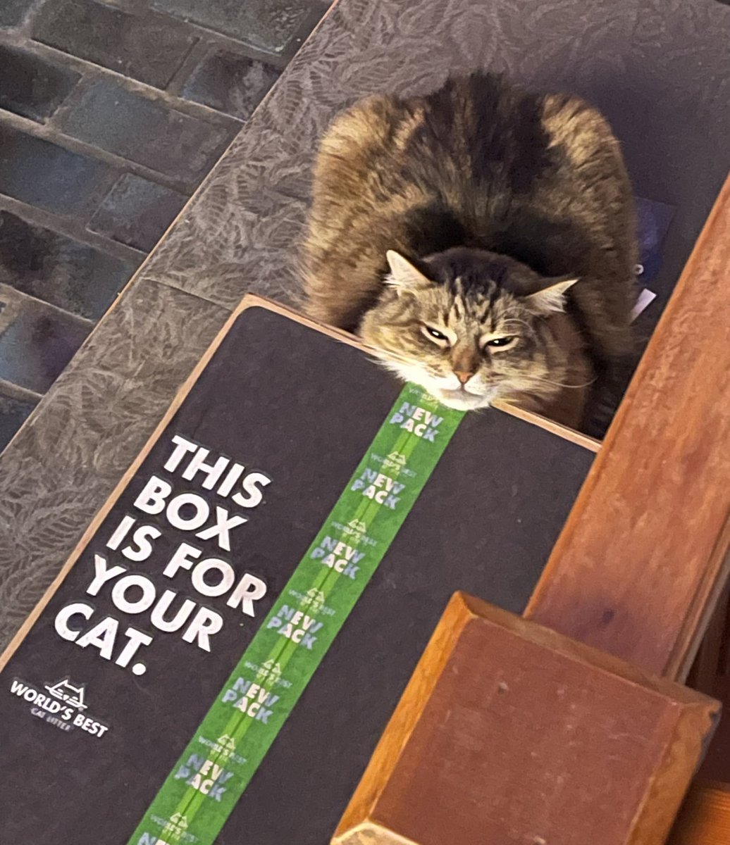 Tugrik, ᠲᠥᠭᠥᠷᠢᠭ, төгрөг, tögrög, ₮ tweet media