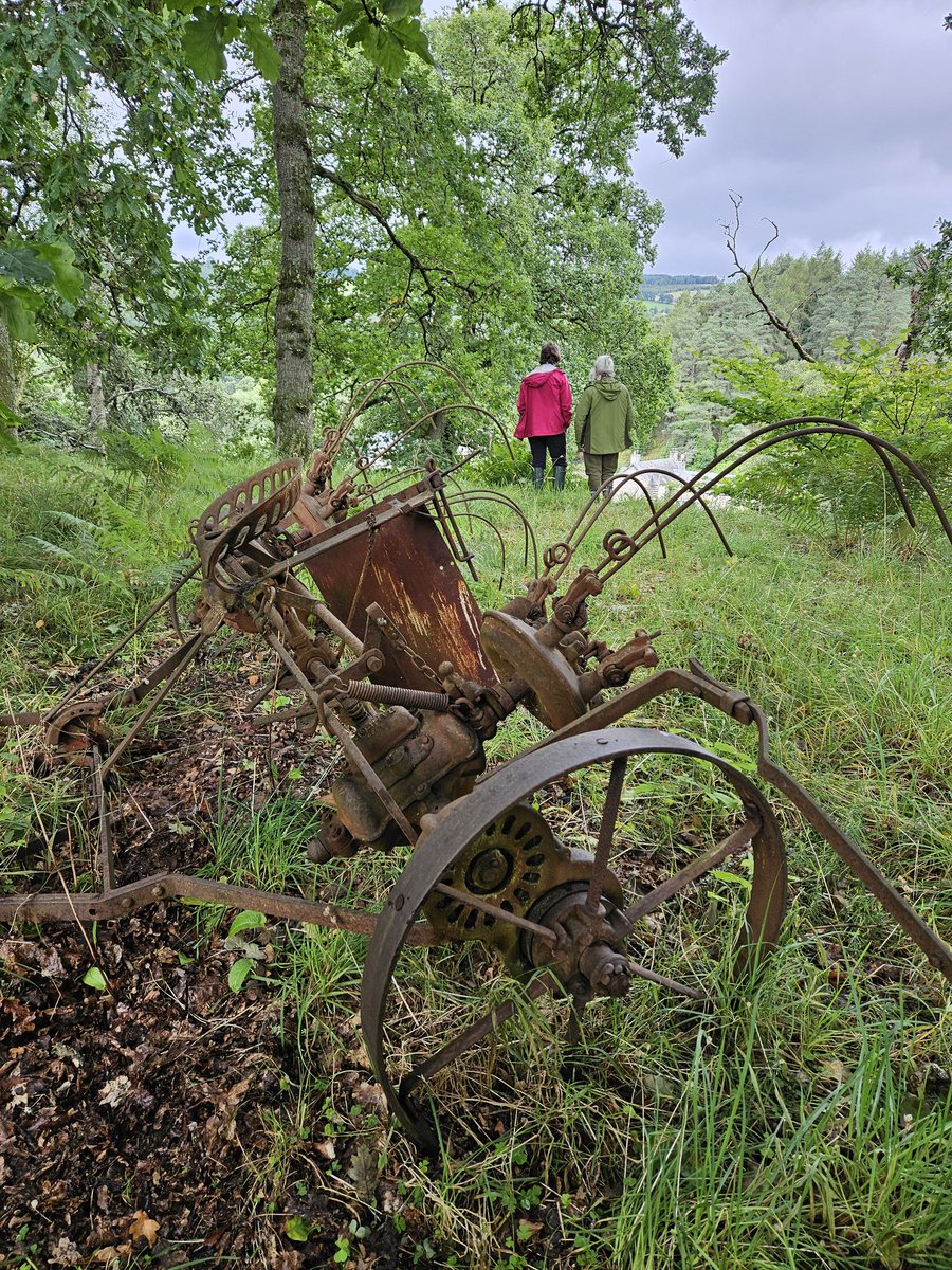 Laura Parker tweet media