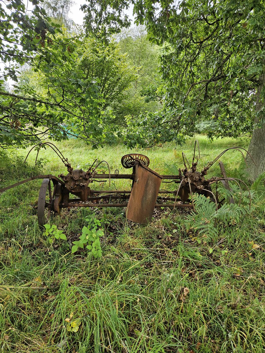 Laura Parker tweet media