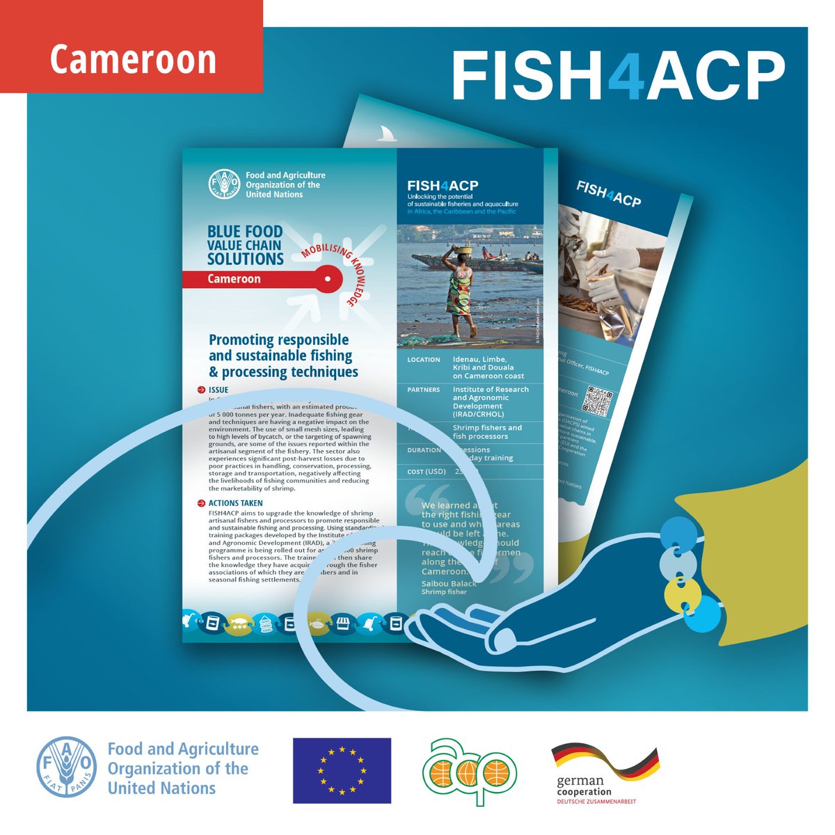 FAOCameroun's tweet photo. Sustainable fishing and processing techniques improve the livelihoods of shrimp producers in #Cameroon.🦐
🔗 https://t.co/4AJYlWaNmS
Learn more at the #BlueFoodForum on 12-13 September in #Tanzania.
👉 https://t.co/sXAIhi66LI
#FISH4ACP
@BMZ_Bund 
@EU_Partnerships 
@PressACP https://t.co/hk9dfTymqx