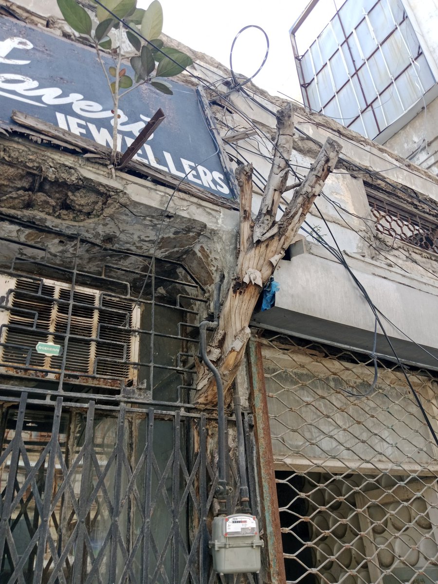 rajparsindhi's tweet photo. My environmental photography Victoria road sadar Karachi https://t.co/qLFDWKbrld