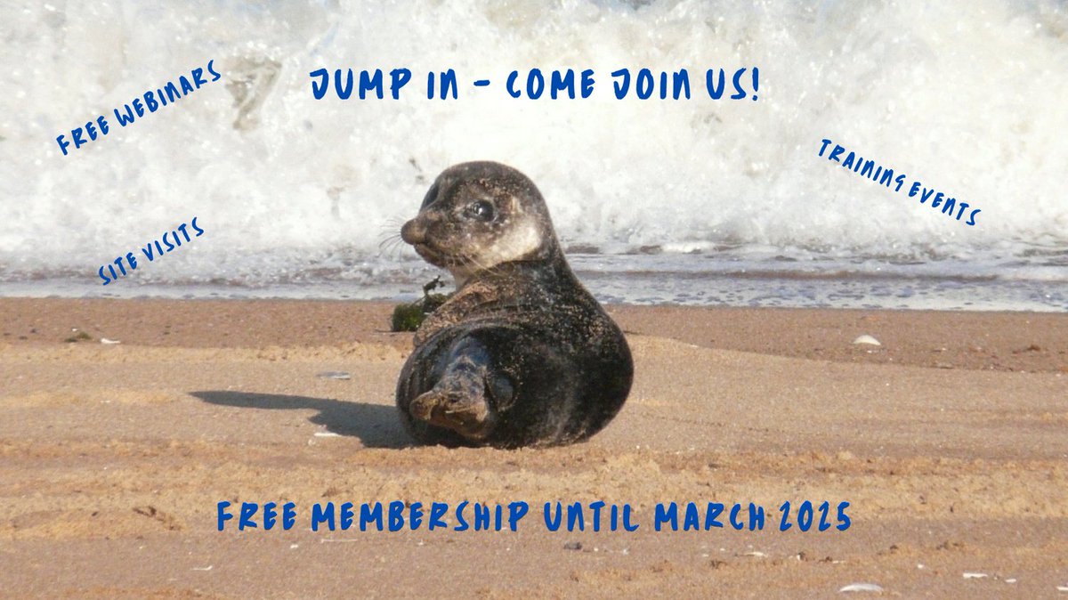 NESMammals's tweet photo. We're putting together a fab programme for the coming year, including training events and talks. So why not join as a member (free until March 2025) to connect with a network of folk interested in the amazing mammals of North East Scotland. Join today https://t.co/vjAbxLWpxE https://t.co/kOOSYAoQ6a