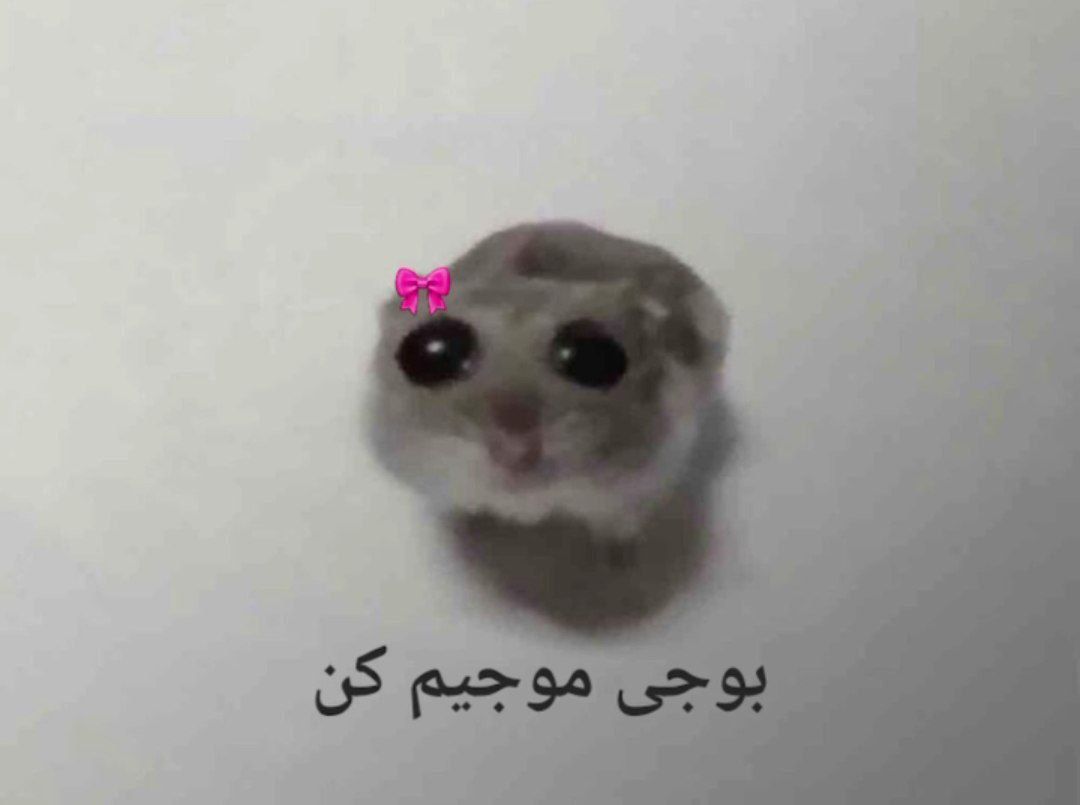 دخترا بعد از ریدن به اعصاب دوسپسرشون: