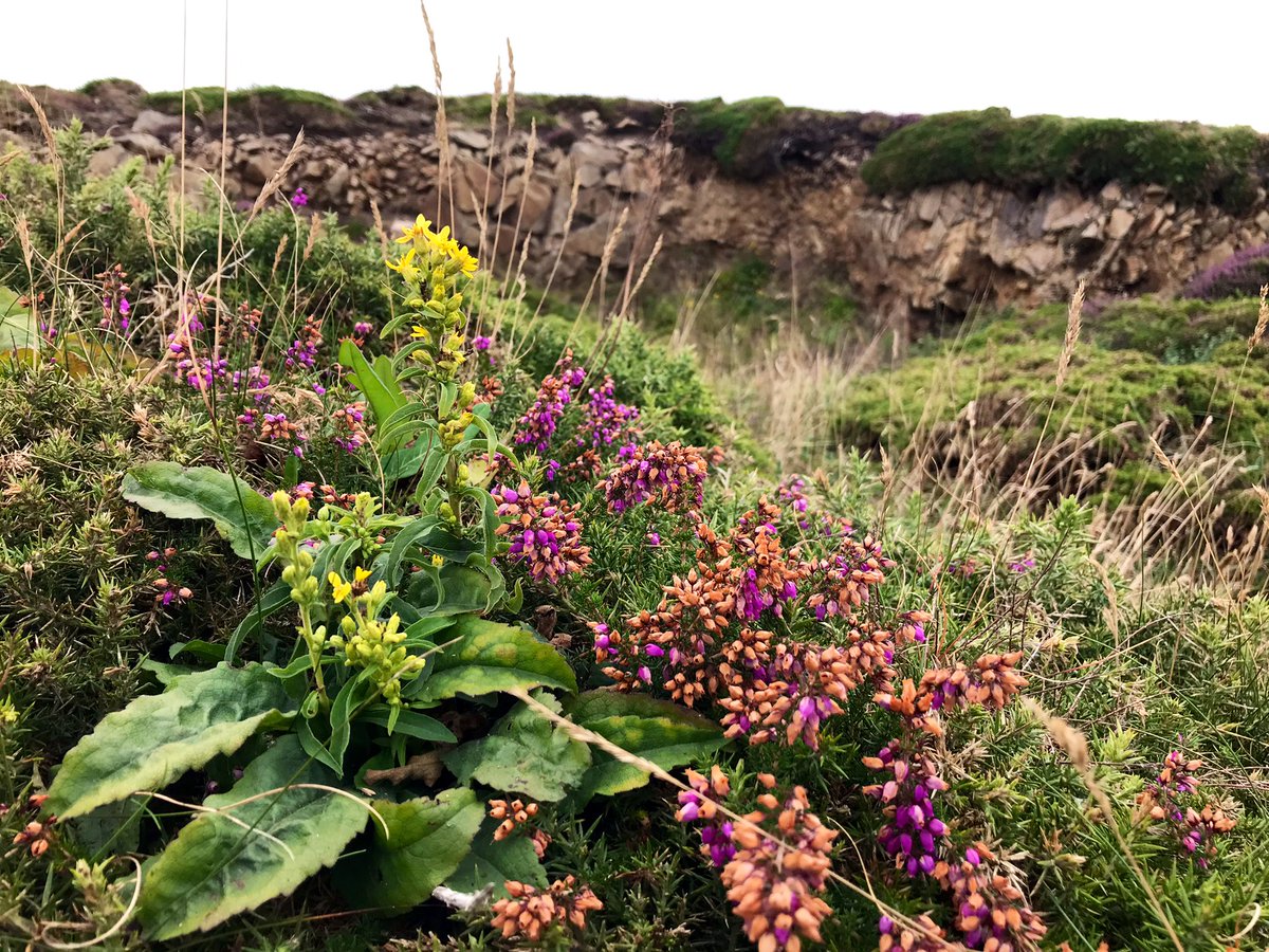 Maurice Backerra tweet media