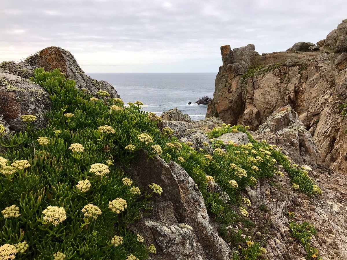 Maurice Backerra tweet media