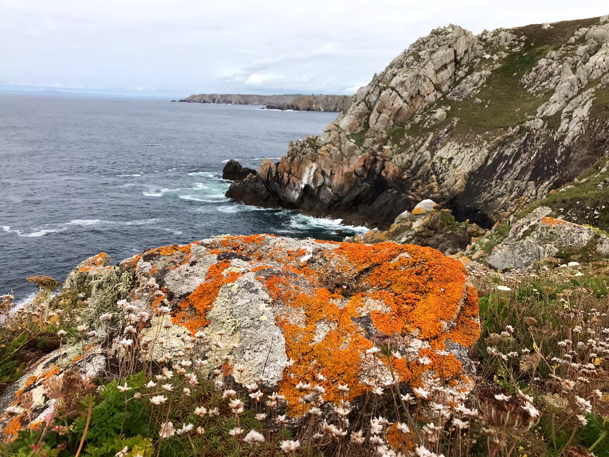 Maurice Backerra tweet media