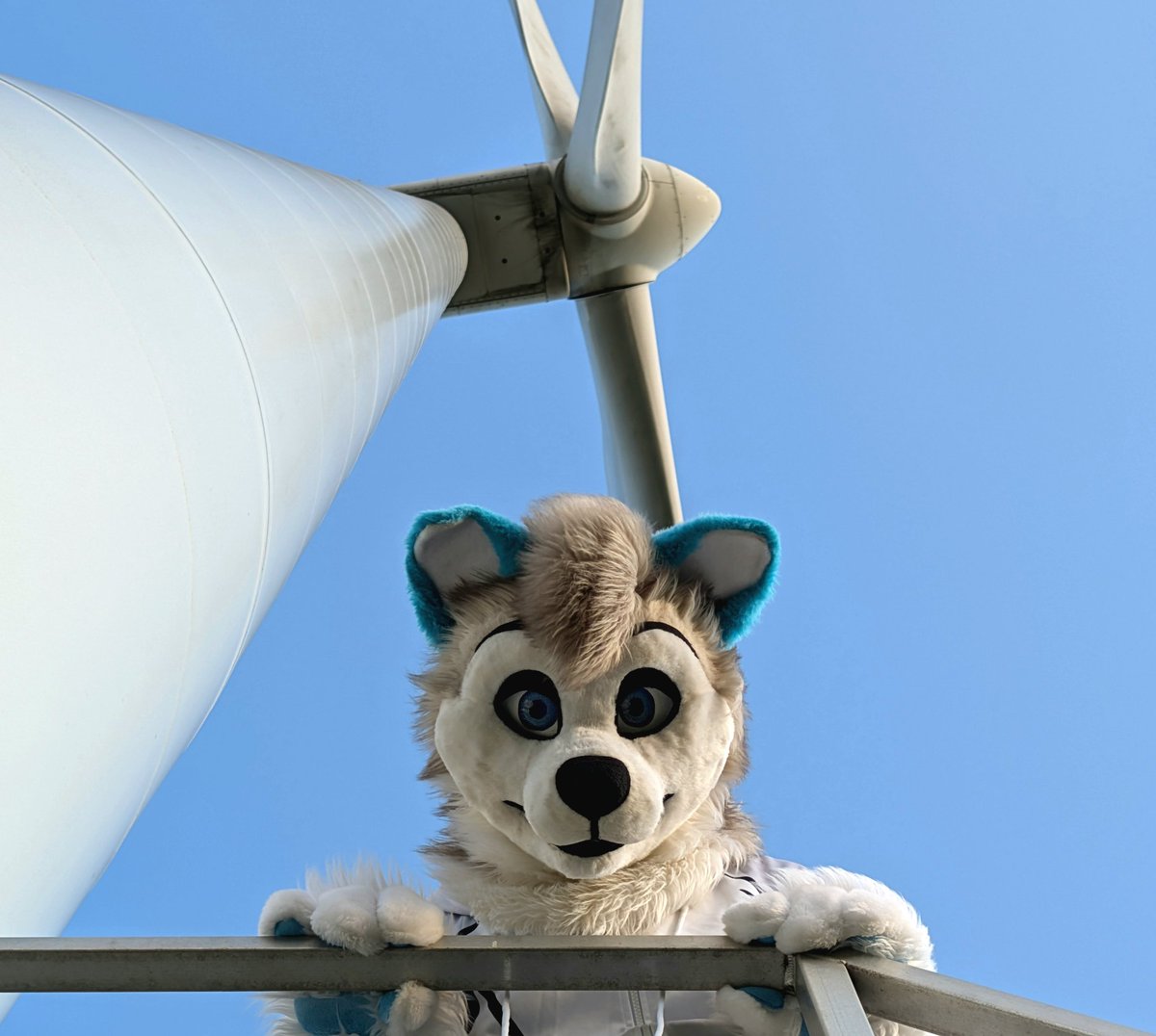 Happy fursuit Friday! ☺️💕

Never been this close to one of these before. 😳
They make strange noises... Or was that my tum? 😳💜
(📸 <a href="/Shenandoah09/">Shen ☺️✈️</a>)