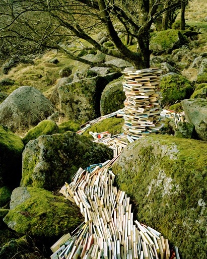 realfoxd's tweet photo. Literary Waterfall, Norway #LiteraryWaterfall #Norway https://t.co/ycspoxdv66 https://t.co/JcojtBD4hm