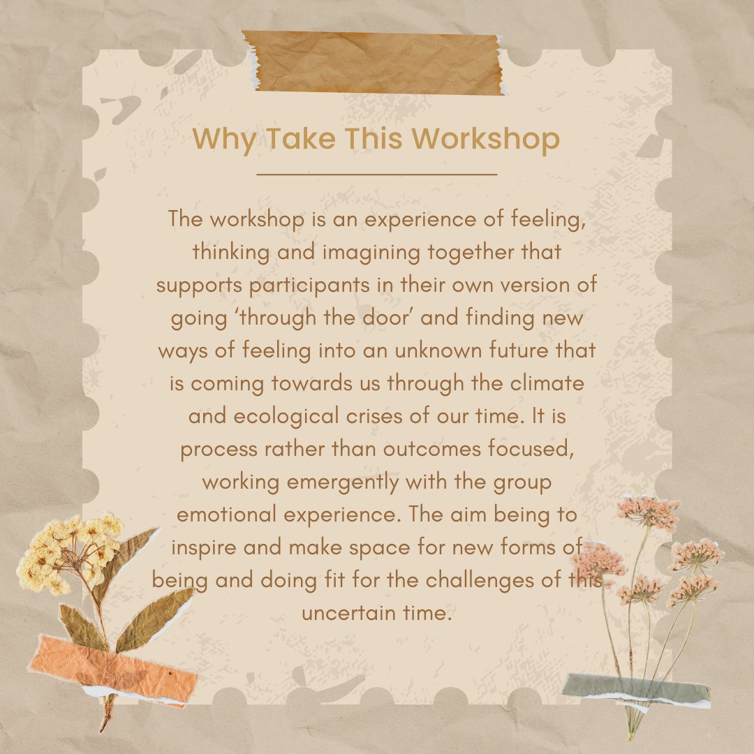 Climate Psychology tweet media