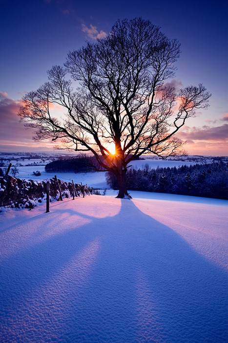 realfoxd's tweet photo. Snow Sunset, Eshton, England #SnowSunset #Eshton #England https://t.co/nqv97zhfbO https://t.co/do2uWhkZf4
