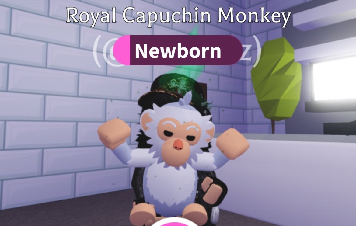 🤍SPONSORED Royal Capuchin Giveaway🤍

To enter

Follow me and <a href="/auvriesz/">⋆. 𐙚 ˚ rei .ᐟ</a>
Like and Retweet
Reply with “Done”

Good Luck
Extras Below ⬇️