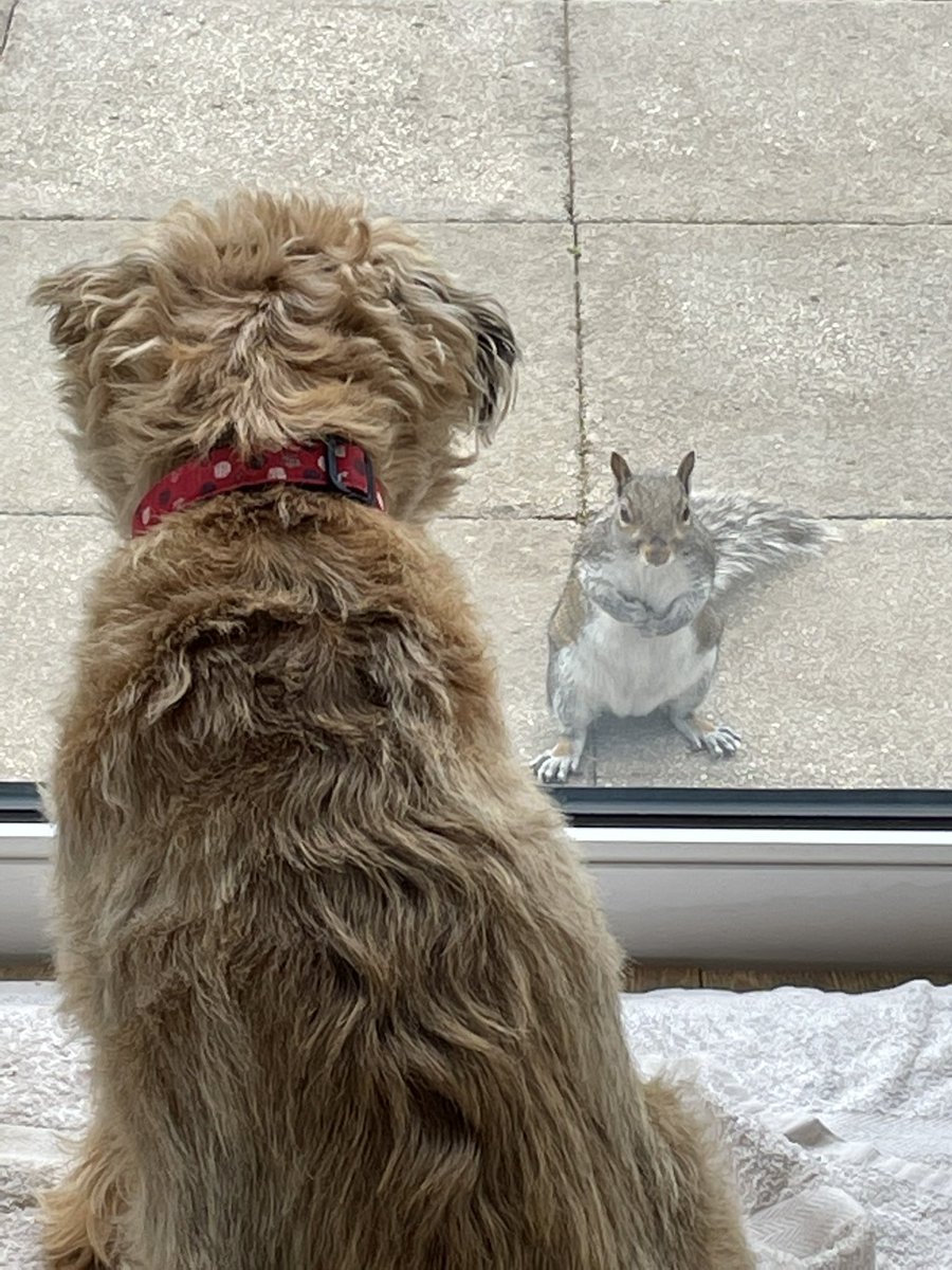 As we’ve just come back to X, I’ve decided I’m only going to look at nice post like bemorebob2 &amp; bertielakeland. 😁☀️