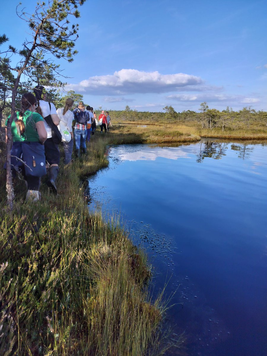 Peatscapes (@peatscapes) on Twitter photo Another fantastic #SERE2024 trip to peat restoration sites in Estonia. This time to Soosaare bog in Alam-Pedja reserve, to see initial outcomes in both extracted & forested areas, 6 years after rewetting. Thanks to Jüri-Ott Salm <a href="/ELFond/">EestimaaLooduseFond</a> & Elin Soomets <a href="/unitartu/">University of Tartu</a> for a great tour! Another fantastic #SERE2024 trip to peat restoration sites in Estonia. This time to Soosaare bog in Alam-Pedja reserve, to see initial outcomes in both extracted & forested areas, 6 years after rewetting. Thanks to Jüri-Ott Salm <a href="/ELFond/">EestimaaLooduseFond</a> & Elin Soomets <a href="/unitartu/">University of Tartu</a> for a great tour!