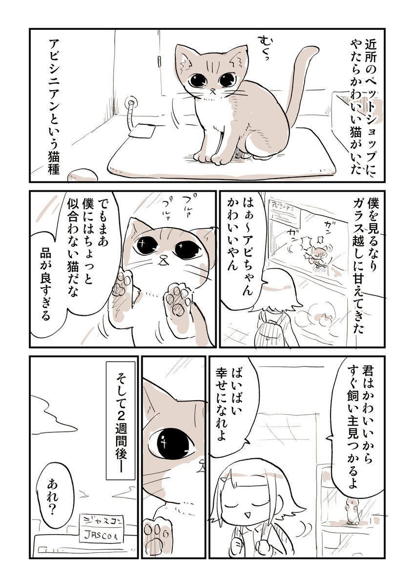 猫漫画をみてほしい 1/5 