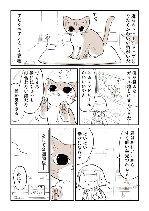 猫漫画をみてほしい 1/5 