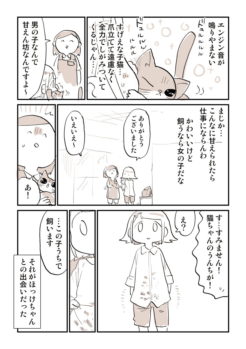 猫漫画をみてほしい 1/5 