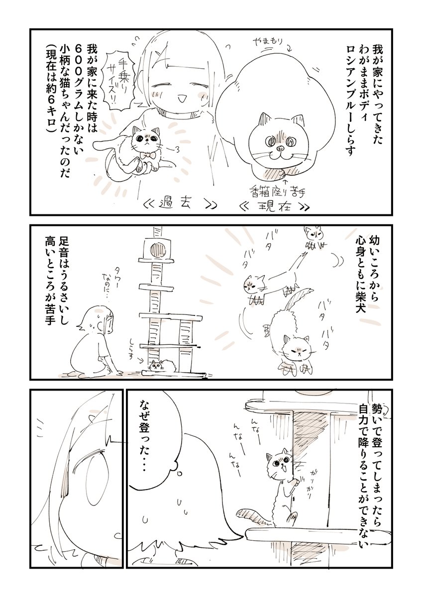 猫漫画をみてほしい 2/5 