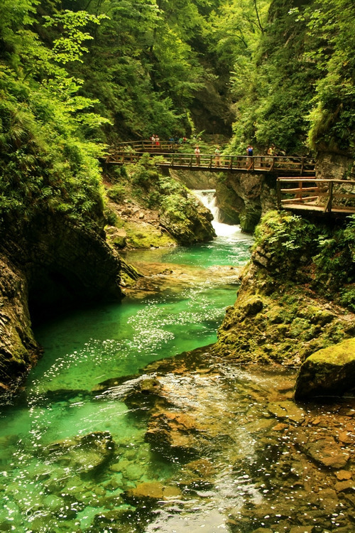 realfoxd's tweet photo. Mountain Gorge, Triglav, Slovenia #MountainGorge #Triglav #Slovenia https://t.co/kznHGYQOo6 https://t.co/MfUqrQSEBD