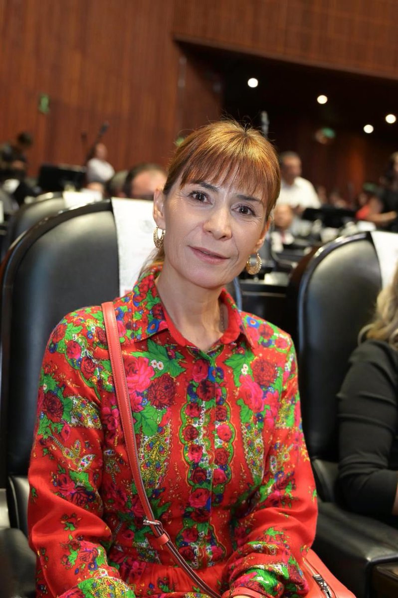 BenjaminRoblesM's tweet photo. Felicito a mi querida 🫶🏾 @maribelmruiz por su toma de protesta como diputada de la #LXVI legislatura. 

De igual forma a las diputadas oaxaqueñas Martha Araceli Cruz y Margarita García, así como Alejandro López diputado por Tlaxiaco. 

¡#Oaxaca está muy bien representado en la Cámara de las y los Diputados! 

#SomosPT
#PTesla4T ⭐️