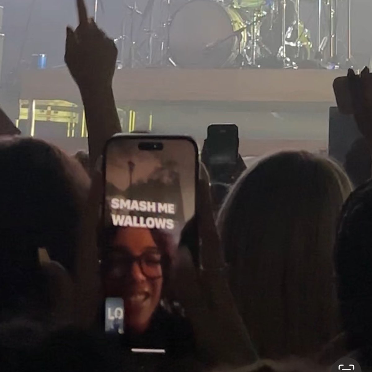 slayingliar's tweet photo. i was looking through my wallows videos from last night and whoever this is was SO REAL https://t.co/UGQgxuFB43