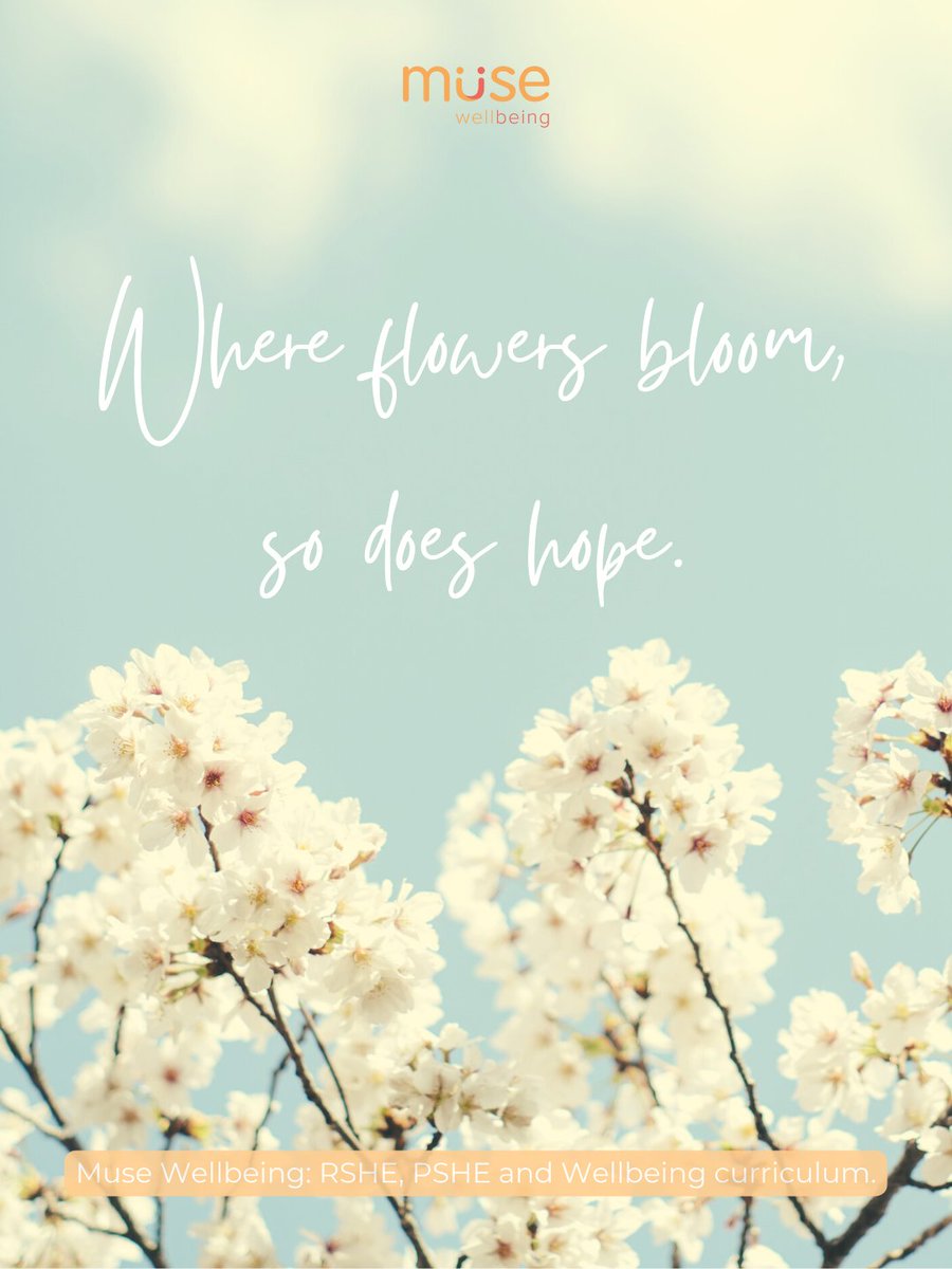 Muse Wellbeing tweet media