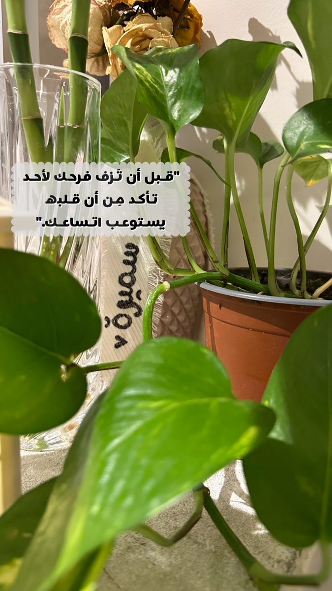 sammor050's tweet photo. https://t.co/SOSQefoIiV