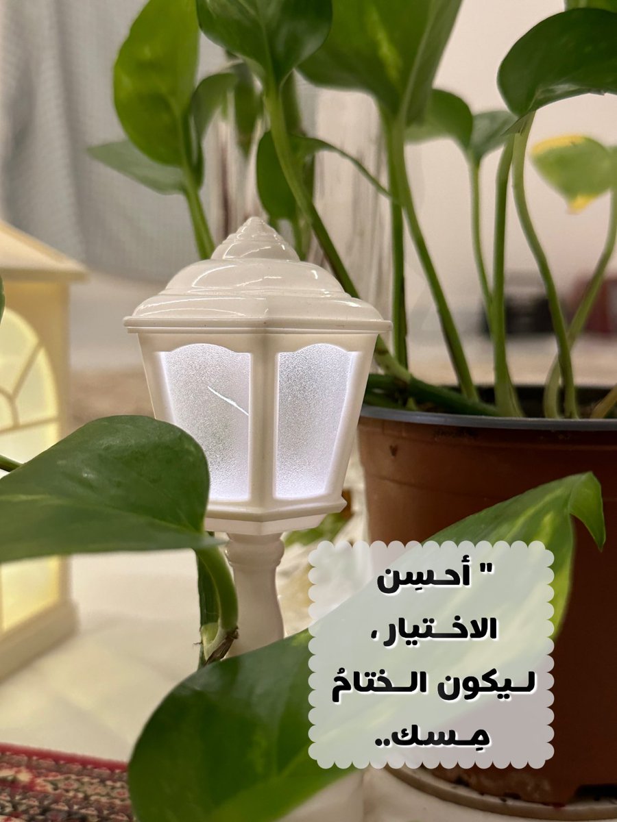 sammor050's tweet photo. https://t.co/SOSQefoIiV