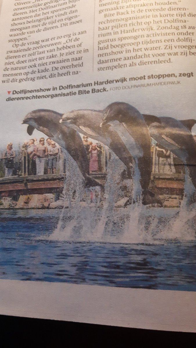 Dierenrechtenclub wil Dolfinarium Hardewijk per direct sluiten.
Sorry maar ze zijn gek.
Waar moeten de dieren dan heen?? Vrij laten in de natuur??
Dan kan toch helemaal niet.
Ga olifanten redden en op stropers jagen. Lekker makkelijk vanuit je veilige bureau. Dit te bedenken bah.