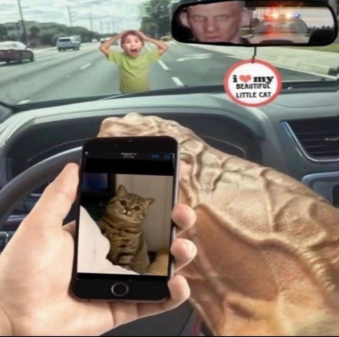 Punch Cat (@punchingcat) on Twitter photo 