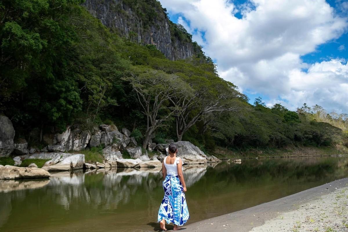 elisefou_'s tweet photo. Miss Sigatoka River Safari. That’s it. That’s the tweet. https://t.co/U00bgAkK80