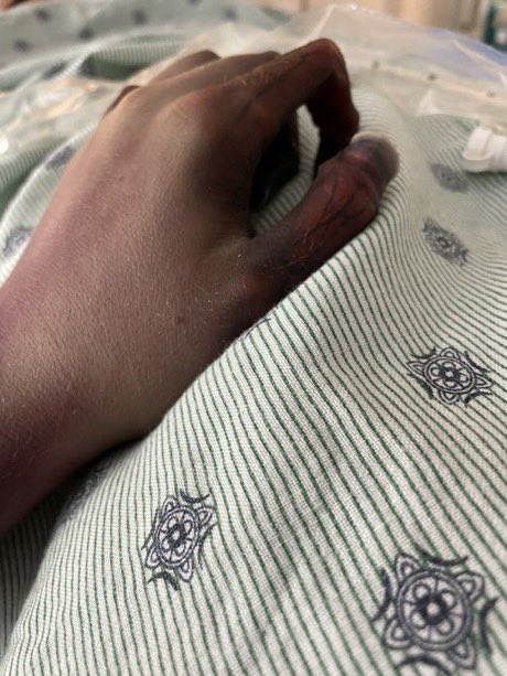 Shanna Carroll tweet media