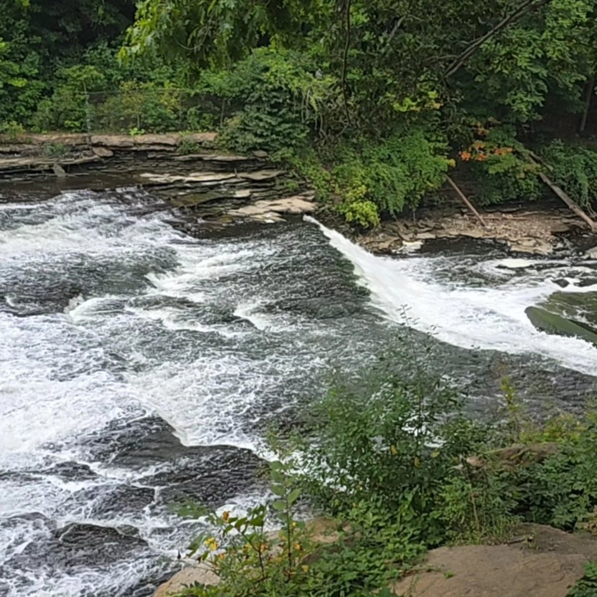Zero_is_High's tweet photo. Getting in some more hiking before our trip in a month, back out to Colorado! 🏞️🥾 Got some great shots today! 📸 #hiking #nature #adventure #Multiplatformgaming #ishigh https://t.co/MSggVU0nKb
