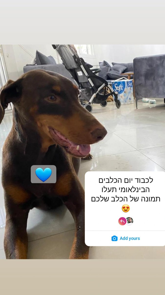 michael_aklom tweet media