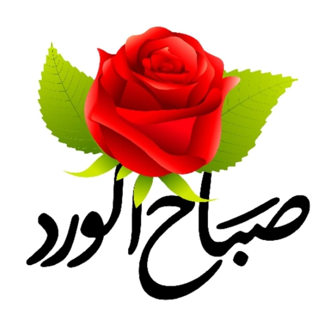 msry_skaka's tweet photo. https://t.co/NSXSJbDdnG