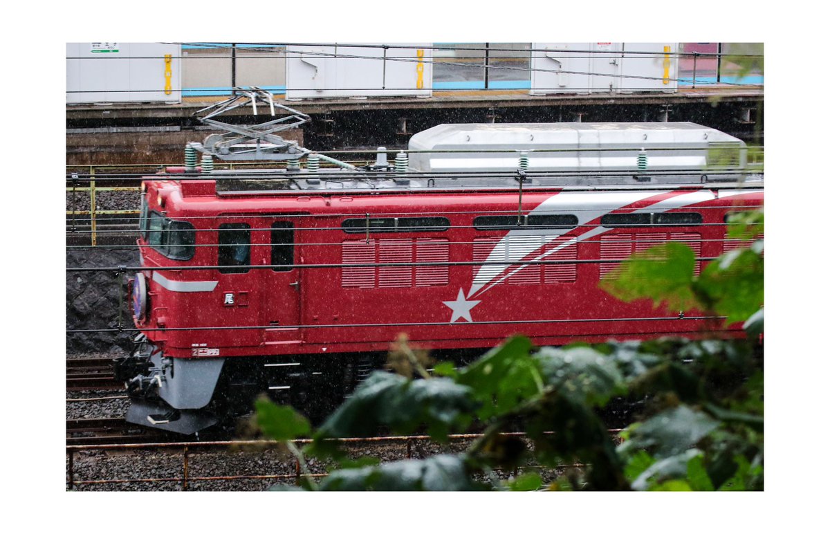 Bokophoto's tweet photo. 雨ヤバいね https://t.co/W1zvq92O1P