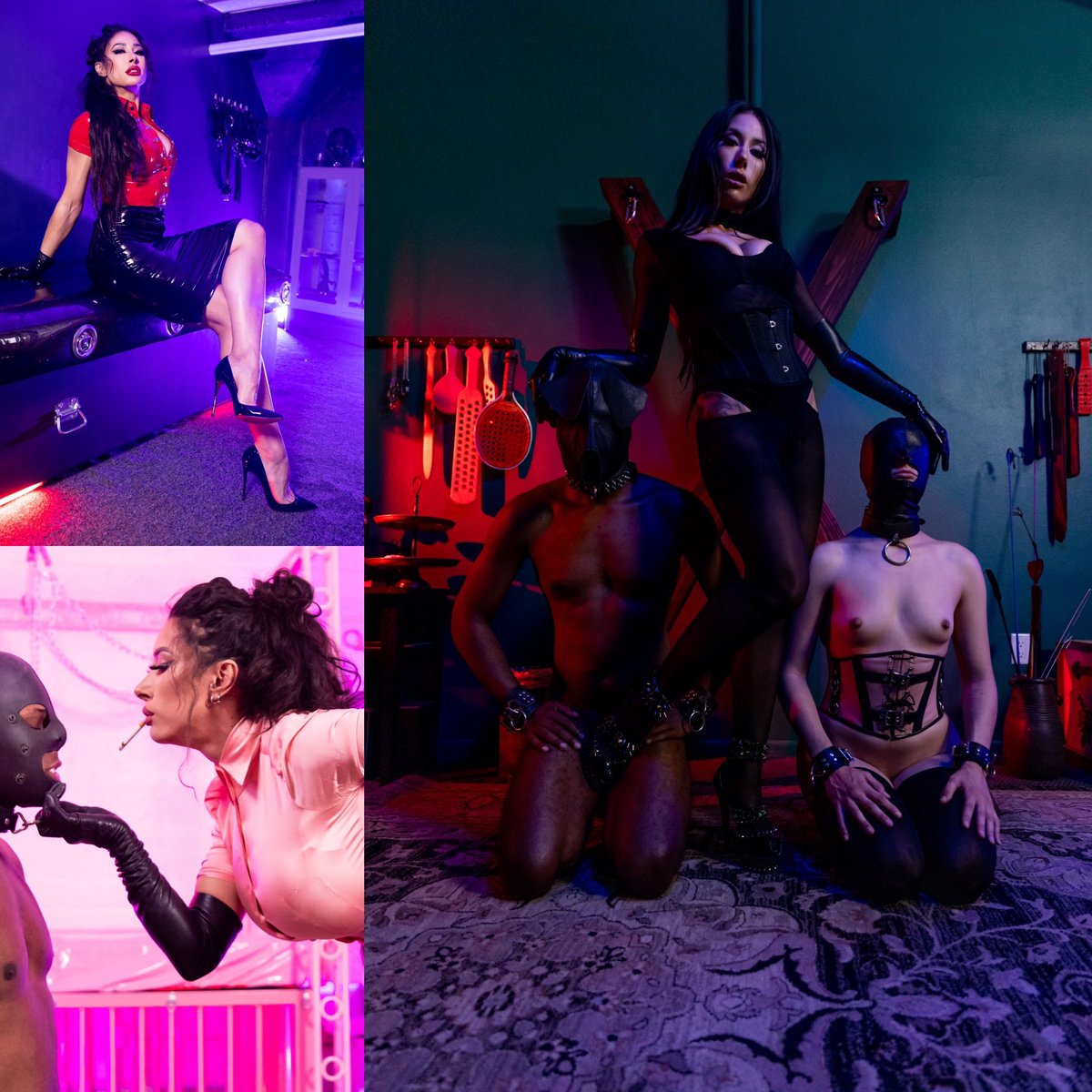 ChadDiamond/Top.01%of IDGAF tweet media