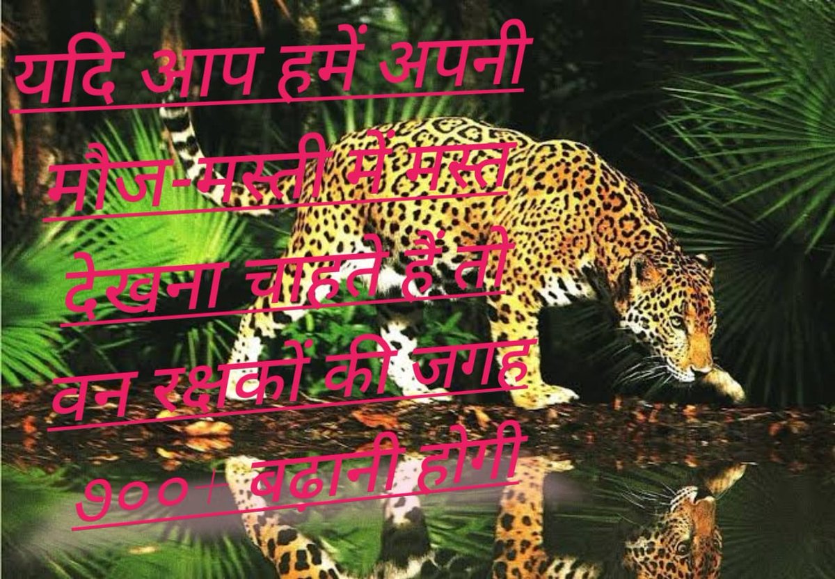 NavinkNavi1911's tweet photo. हम गुजरात सरकार से विनम्र निवेदन करते हैं कि राज्य के वन क्षेत्र का विस्तार किया जाए। इससे न केवल पर्यावरण को लाभ मिलेगा, बल्कि युवा पीढ़ी के लिए रोजगार के नए अवसर भी पैदा होंगे।

@Bhupendrapbjp
@CMOGuj @Mulubhai_Bera
#GJ_वनरक्षकों_की_पद_बढ़ाओ
#JusticeForForestGuard https://t.co/JrlCVoOwTl