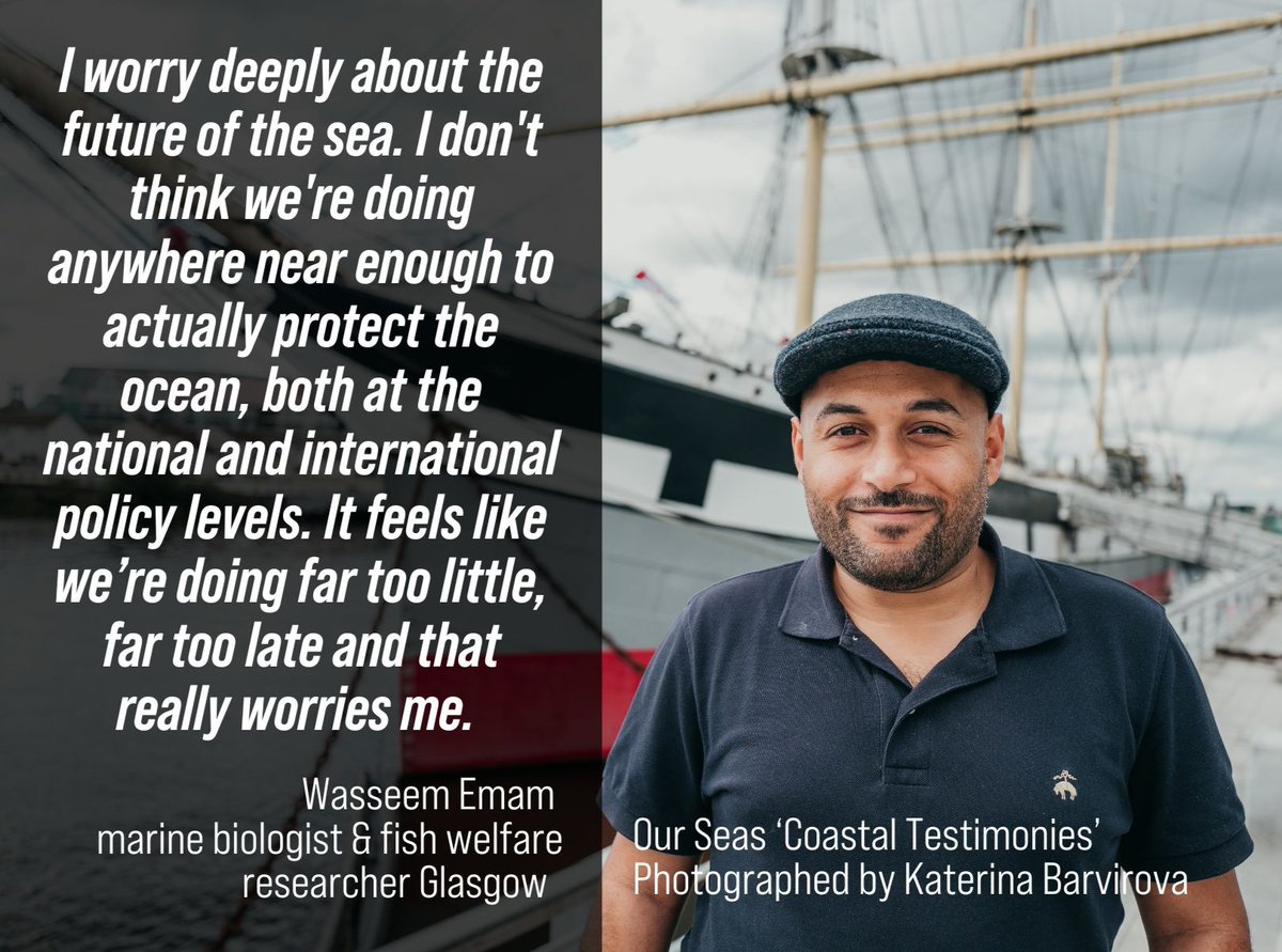 Our Seas tweet media