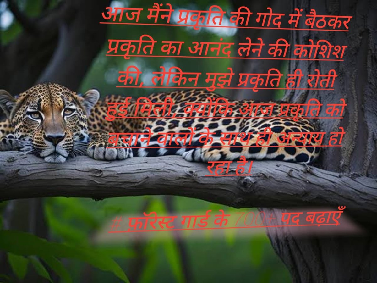 NavinkNavi1911's tweet photo. हम गुजरात सरकार से विनम्र निवेदन करते हैं कि राज्य के वन क्षेत्र का विस्तार किया जाए। इससे न केवल पर्यावरण को लाभ मिलेगा, बल्कि युवा पीढ़ी के लिए रोजगार के नए अवसर भी पैदा होंगे।

@Bhupendrapbjp
@CMOGuj @Mulubhai_Bera
#GJ_वनरक्षकों_की_पद_बढ़ाओ
#JusticeForForestGuard https://t.co/dpriadEFOb