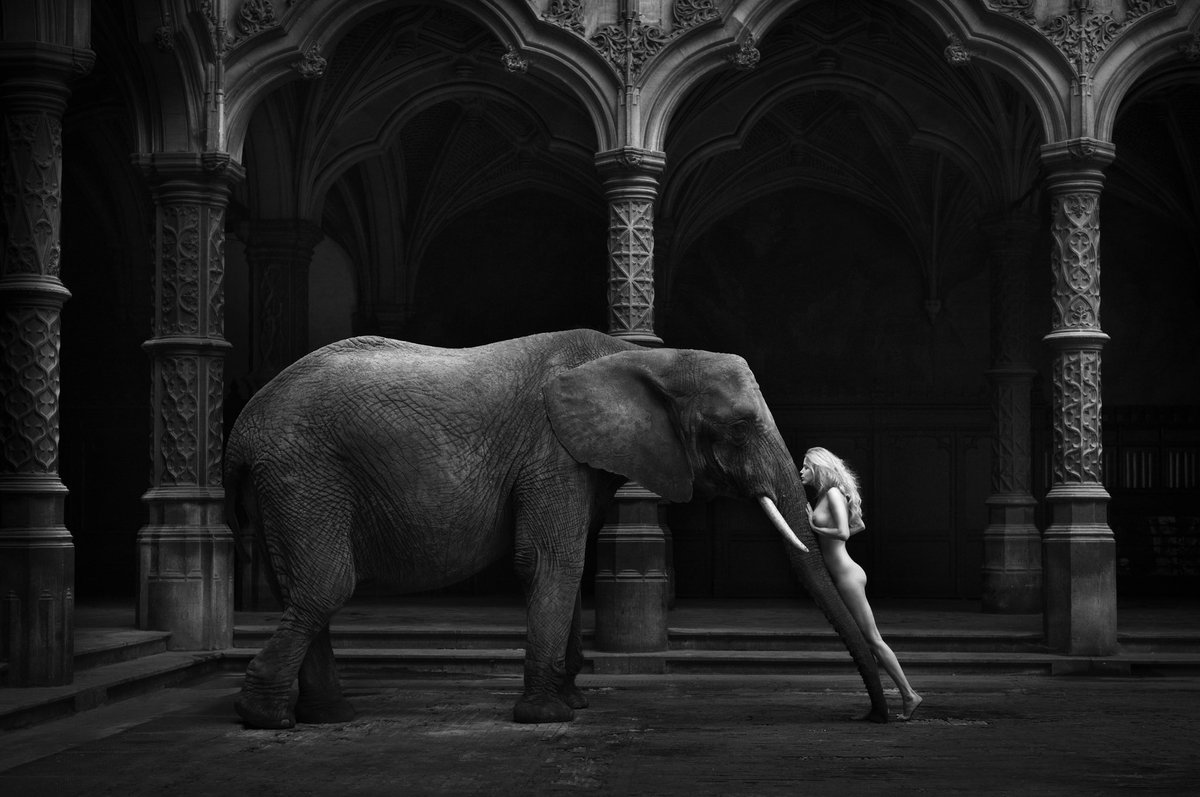 CPASGAGNE69's tweet photo. Un éléphant ça trompe énormément.
#MarcLagrange #VendrediSeins https://t.co/kw7QrEdL23