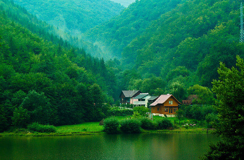 dkouf's tweet photo. Green Valley, Transylvania, Romania #GreenValley #Transylvania #Romania https://t.co/pzGsGzyYXU https://t.co/80XXLByaYD